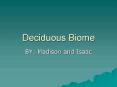 Deciduous Biome