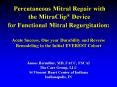 Percutaneous Mitral Repair with the MitraClip Device for Functional Mitral Regurgitation: Acute Succ