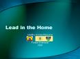 Lead in the Home