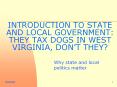 INTRODUCTION TO STATE AND LOCAL GOVERNMENT: THEY TAX DOGS IN WEST VIRGINIA, DONT THEY