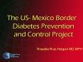 The US Mexico Border Diabetes Prevention and Control Project