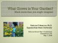 What Grows in Your Garden Much more than you might imagine