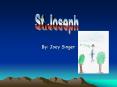 By: Joey Singer