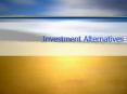 Investment Alternatives