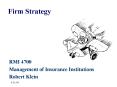 Firm Strategy