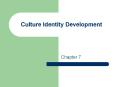 Culture Identity Development