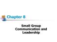 Small Group Communication and Leadership