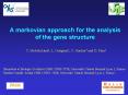 A markovian approach for the analysis of the gene structure