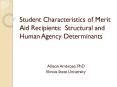 Student Characteristics of Merit Aid Recipients: Structural and Human Agency Determinants