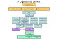 FIS Organizational Structure