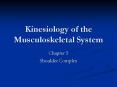 Kinesiology of the Musculoskeletal System