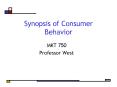 Synopsis of Consumer Behavior