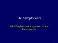 The Streptococci