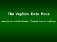 The VegBank Data Model www.bio.unc.edufacultypeetVegBank_tutorial_model.ppt