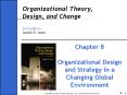 Organizational Theory, Design, and Change Sixth Edition Gareth R. Jones
