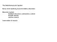 The Skeletomuscular System