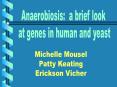 Anaerobiosis: a brief look