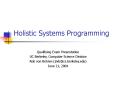 Holistic Systems Programming