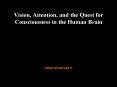 Vision, Attention, and the Quest for Consciousness in the Human Brain