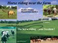 Horse riding near the farm