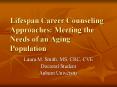 Lifespan Career Counseling Approaches: Meeting the Needs of an Aging Population