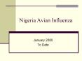 Nigeria Avian Influenza