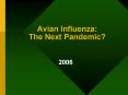 Avian Influenza: The Next Pandemic?