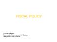 FISCAL POLICY