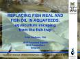 REPLACING FISH MEAL AND FISH OIL IN AQUAFEEDS: aquaculture escaping from the fish trap Peter Coutteau, PhD  INVE Aquafeed Experts INVE Aquaculture Belgium