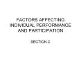 FACTORS AFFECTING INDIVIDUAL PERFORMANCE AND PARTICIPATION