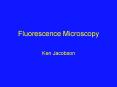 Fluorescence Microscopy