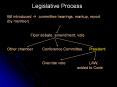 Legislative Process