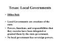 Texas: Local Governments