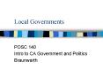 Local Governments