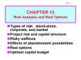 CHAPTER 13 Risk Analysis and Real Options