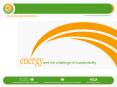 WORLD ENERGY ASSESSENT MAIN FINDINGS