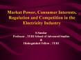 Market Power, Consumer Interests, Regulation and Competition in the Electricity Industry