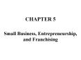 Small Business, Entrepreneurship, and Franchising