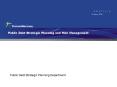 Public Debt Strategic Planning and Risk Management
