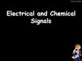Electrical and Chemical Signals