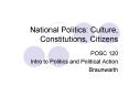 National Politics: Culture, Constitutions, Citizens
