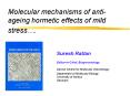 Molecular mechanisms of antiageing hormetic effects of mild stress.
