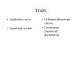 Traits