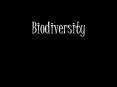 Biodiversity