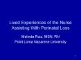 Lived Experiences of the Nurse Assisting With Perinatal Loss