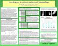 Stress Responses in Arabidopsis thaliana wrky65 Knockout Plants  Julie Bullinga1, Anthony Conteno2, Diane Bassham2 1Marshalltown Community Schools, Marshalltown, Iowa 50158 2 Genetics, Development and Cell Biology, Iowa State University, Ames, Iowa