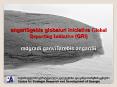 angariSgebis globaluri iniciativa Global Reporting Initiative GRI