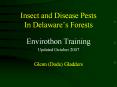 Insect and Disease Pests In Delaware