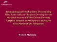 Immunological Mechanisms Determining Why Some African Children Develop Severe Malarial Anaemia While