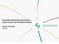 Internationalized Domain Names: Legal Issues and Potential Abuses